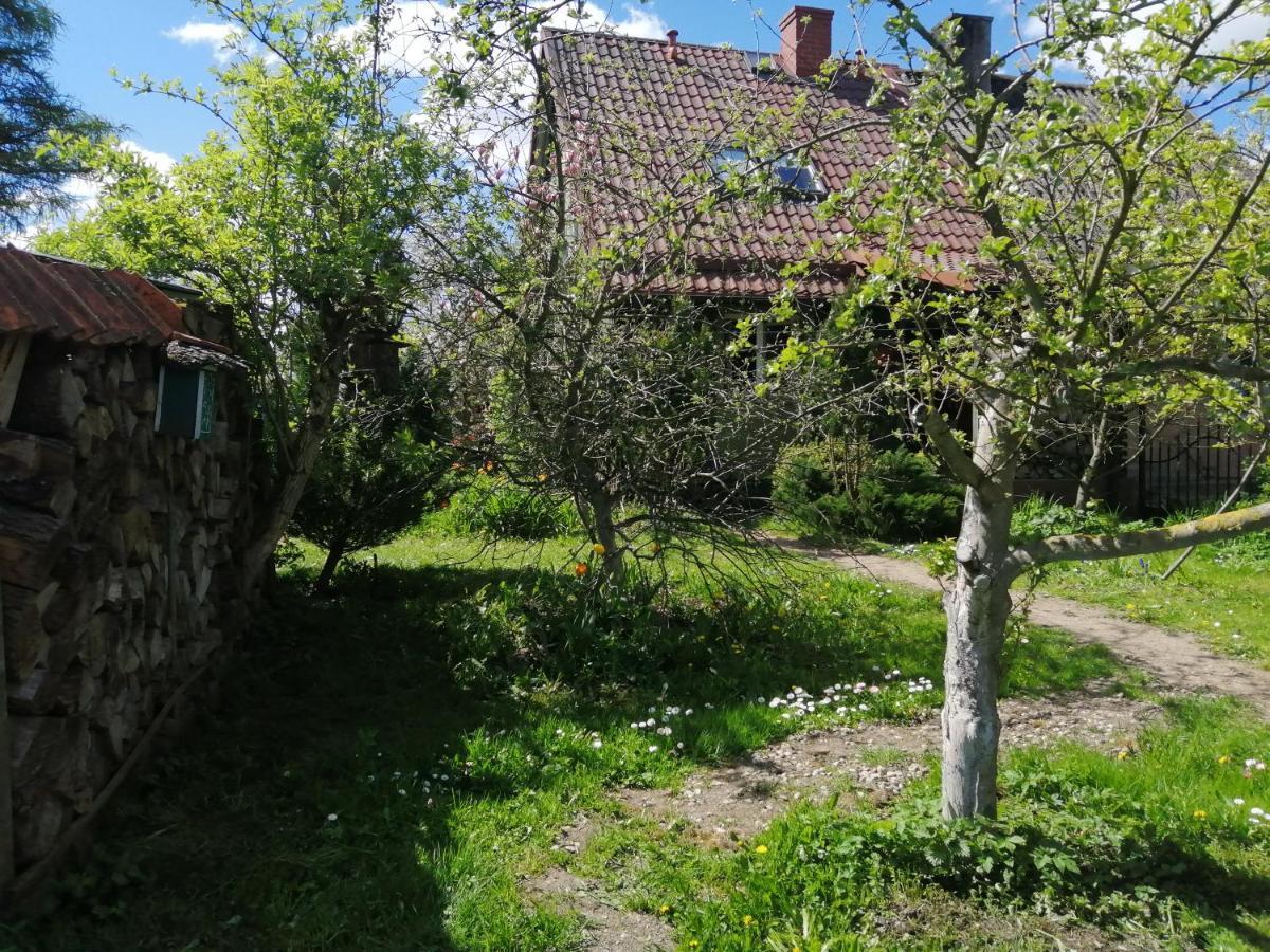 Zielony Domek W Sztynorcie Sztynort Exterior foto